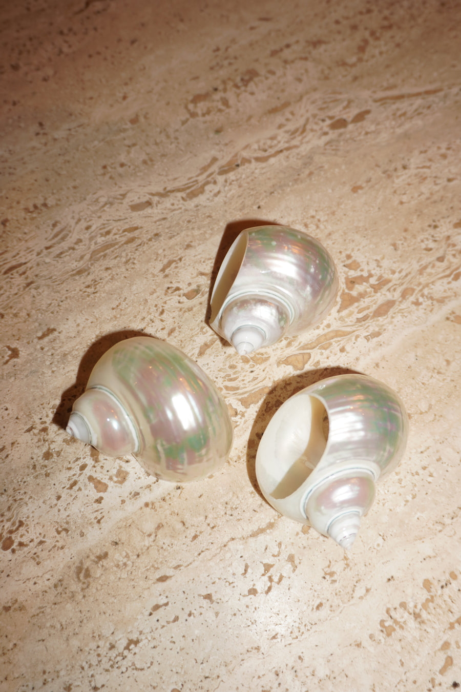 Cala Napkin Holder Set