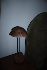 Draper Cordless Lamp