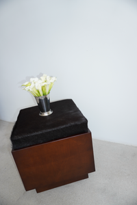 Webster Ottoman