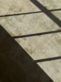 Pasadena Rug