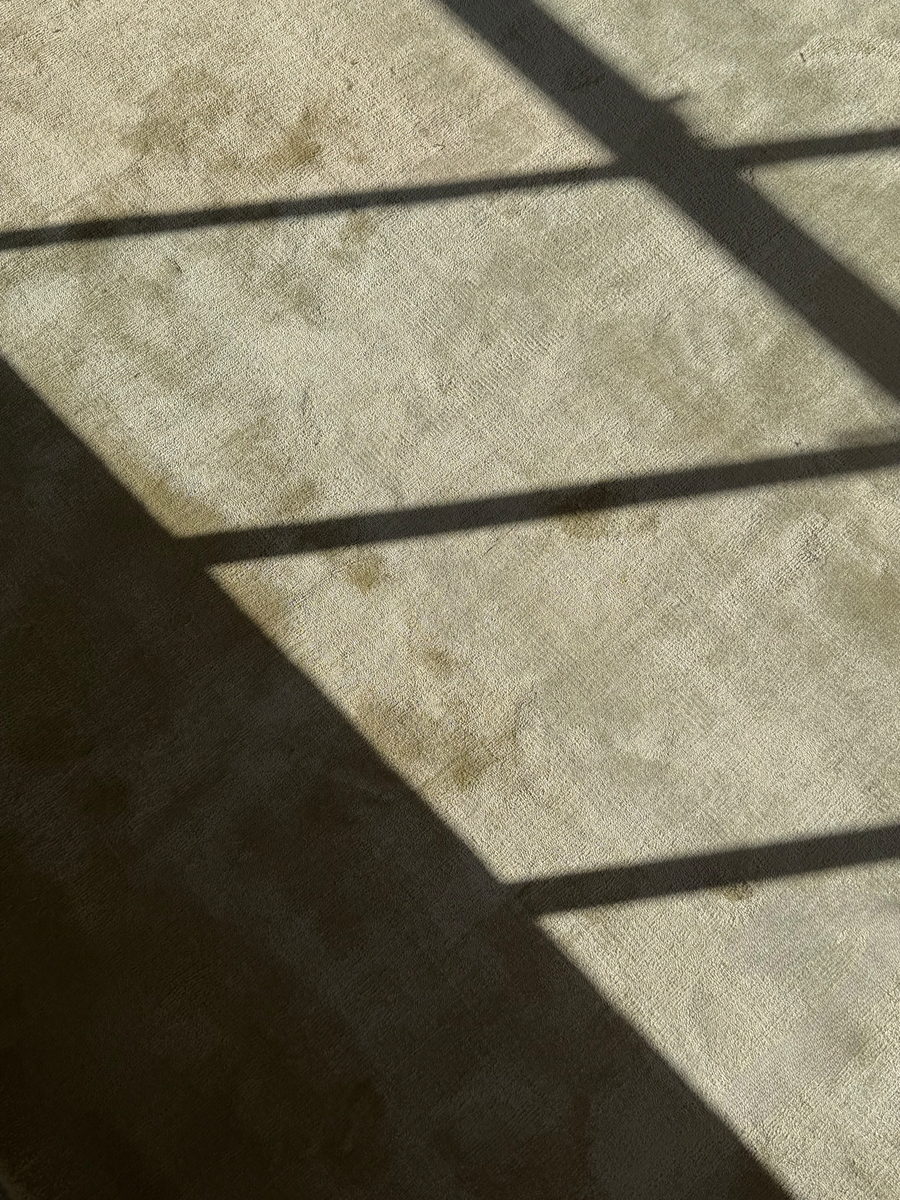 Pasadena Rug