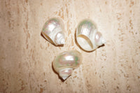 Cala Napkin Holder Set