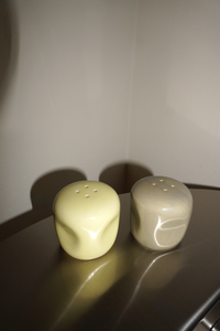 Sole Salt & Pepper Shaker Set