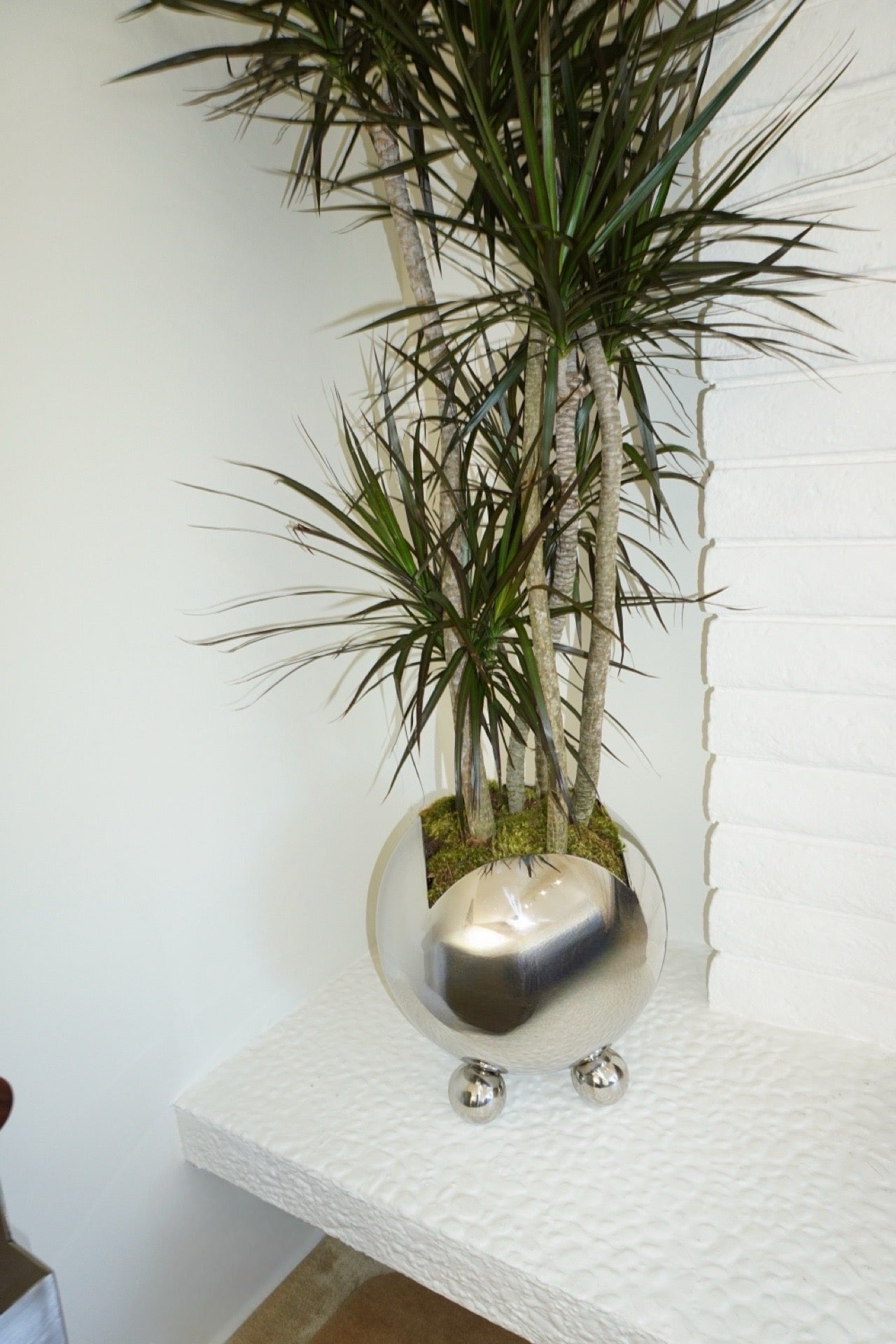 Uma Planter